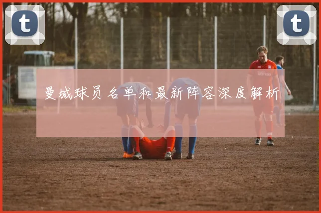 曼城球员名单和最新阵容深度解析