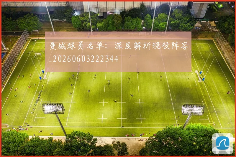 曼城球员名单：深度解析现役阵容_20260603222344